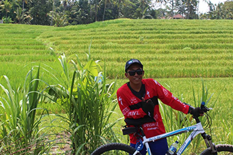 rice field luwus village, bike tour, bali moon bike