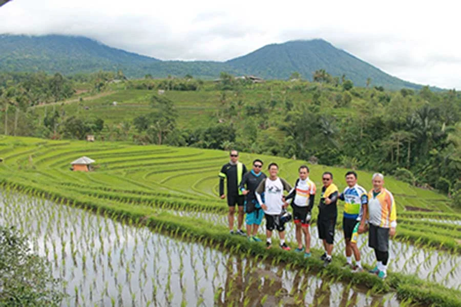 rice paddy, jatiluwih rice terraces, bali moon bike