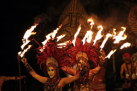 night safari package - the show
