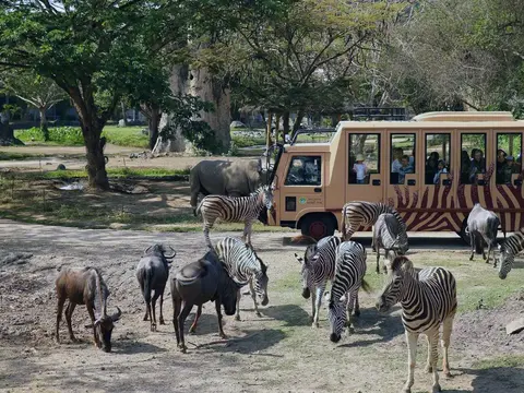 safari journey at taman safari bali
